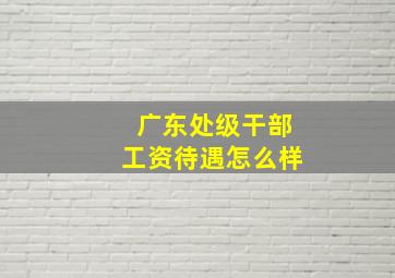 广东处级干部工资待遇怎么样