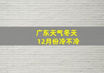 广东天气冬天12月份冷不冷