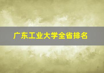 广东工业大学全省排名