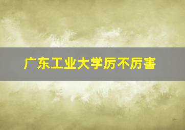 广东工业大学厉不厉害