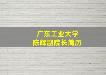 广东工业大学陈辉副院长简历