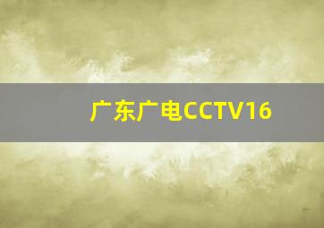 广东广电CCTV16