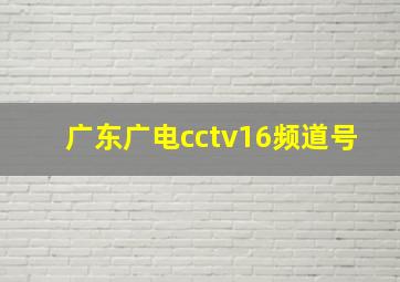 广东广电cctv16频道号