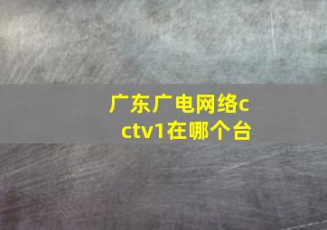 广东广电网络cctv1在哪个台