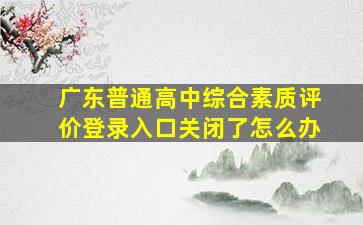 广东普通高中综合素质评价登录入口关闭了怎么办