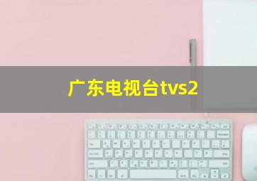 广东电视台tvs2