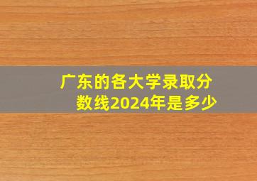 广东的各大学录取分数线2024年是多少