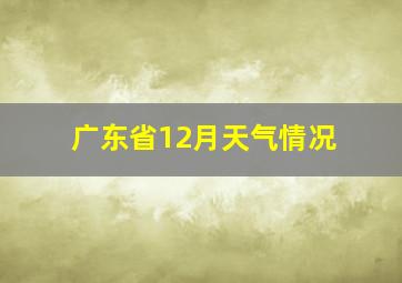 广东省12月天气情况