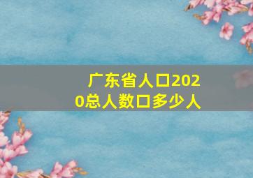 广东省人口2020总人数口多少人