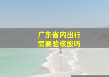 广东省内出行需要验核酸吗