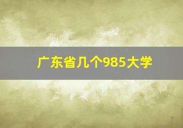 广东省几个985大学