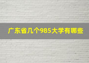 广东省几个985大学有哪些