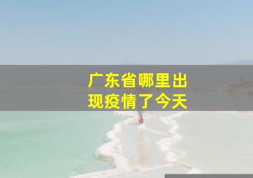 广东省哪里出现疫情了今天