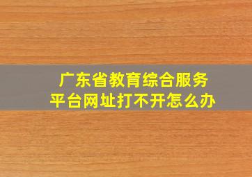 广东省教育综合服务平台网址打不开怎么办