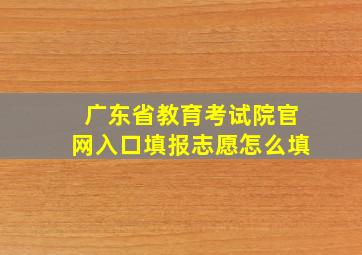 广东省教育考试院官网入口填报志愿怎么填