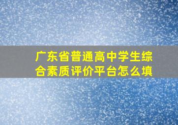 广东省普通高中学生综合素质评价平台怎么填