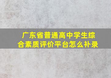 广东省普通高中学生综合素质评价平台怎么补录