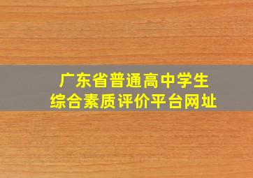 广东省普通高中学生综合素质评价平台网址