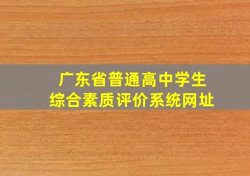 广东省普通高中学生综合素质评价系统网址