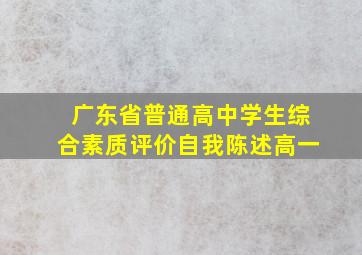 广东省普通高中学生综合素质评价自我陈述高一