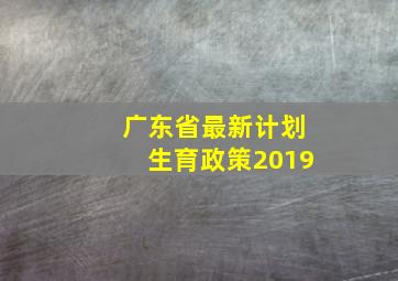 广东省最新计划生育政策2019