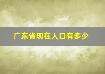 广东省现在人口有多少