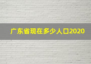 广东省现在多少人口2020