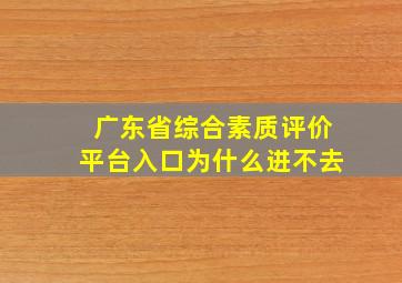 广东省综合素质评价平台入口为什么进不去