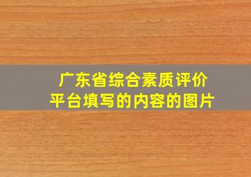 广东省综合素质评价平台填写的内容的图片