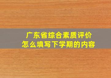 广东省综合素质评价怎么填写下学期的内容