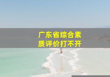 广东省综合素质评价打不开