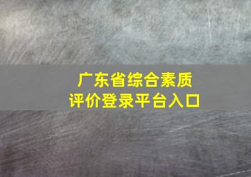 广东省综合素质评价登录平台入口