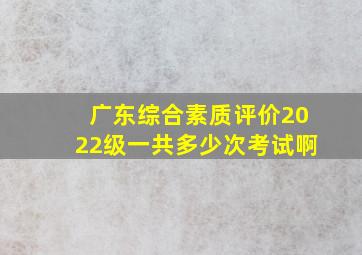 广东综合素质评价2022级一共多少次考试啊