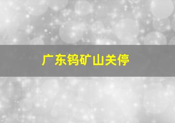 广东钨矿山关停