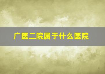 广医二院属于什么医院