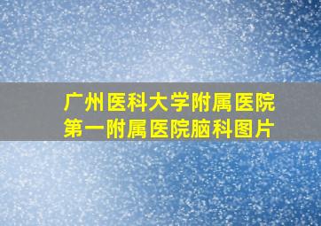 广州医科大学附属医院第一附属医院脑科图片