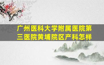 广州医科大学附属医院第三医院黄埔院区产科怎样