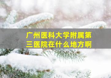 广州医科大学附属第三医院在什么地方啊