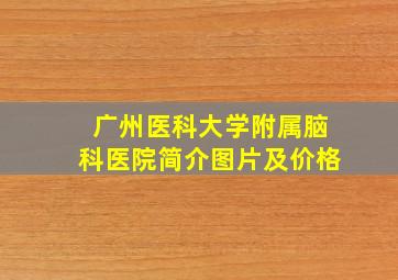 广州医科大学附属脑科医院简介图片及价格