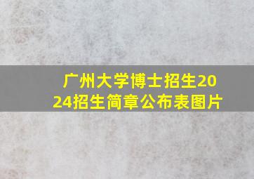 广州大学博士招生2024招生简章公布表图片