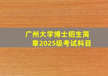 广州大学博士招生简章2025级考试科目