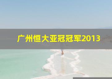 广州恒大亚冠冠军2013