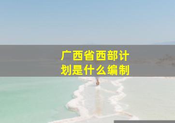 广西省西部计划是什么编制