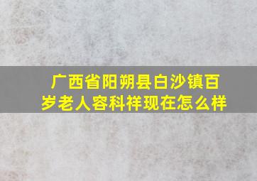 广西省阳朔县白沙镇百岁老人容科祥现在怎么样