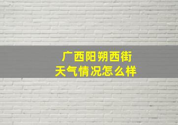 广西阳朔西街天气情况怎么样