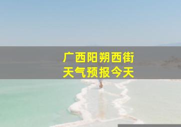 广西阳朔西街天气预报今天