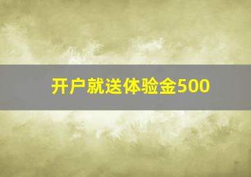 开户就送体验金500