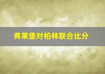 弗莱堡对柏林联合比分