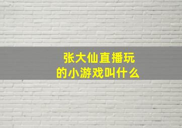 张大仙直播玩的小游戏叫什么