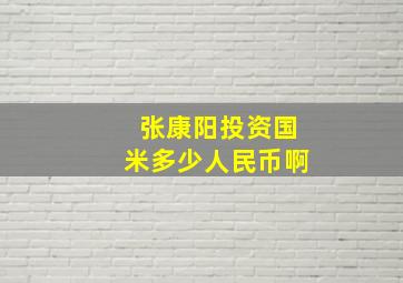 张康阳投资国米多少人民币啊